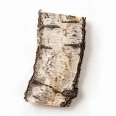 Birch