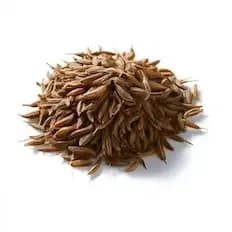 Caraway