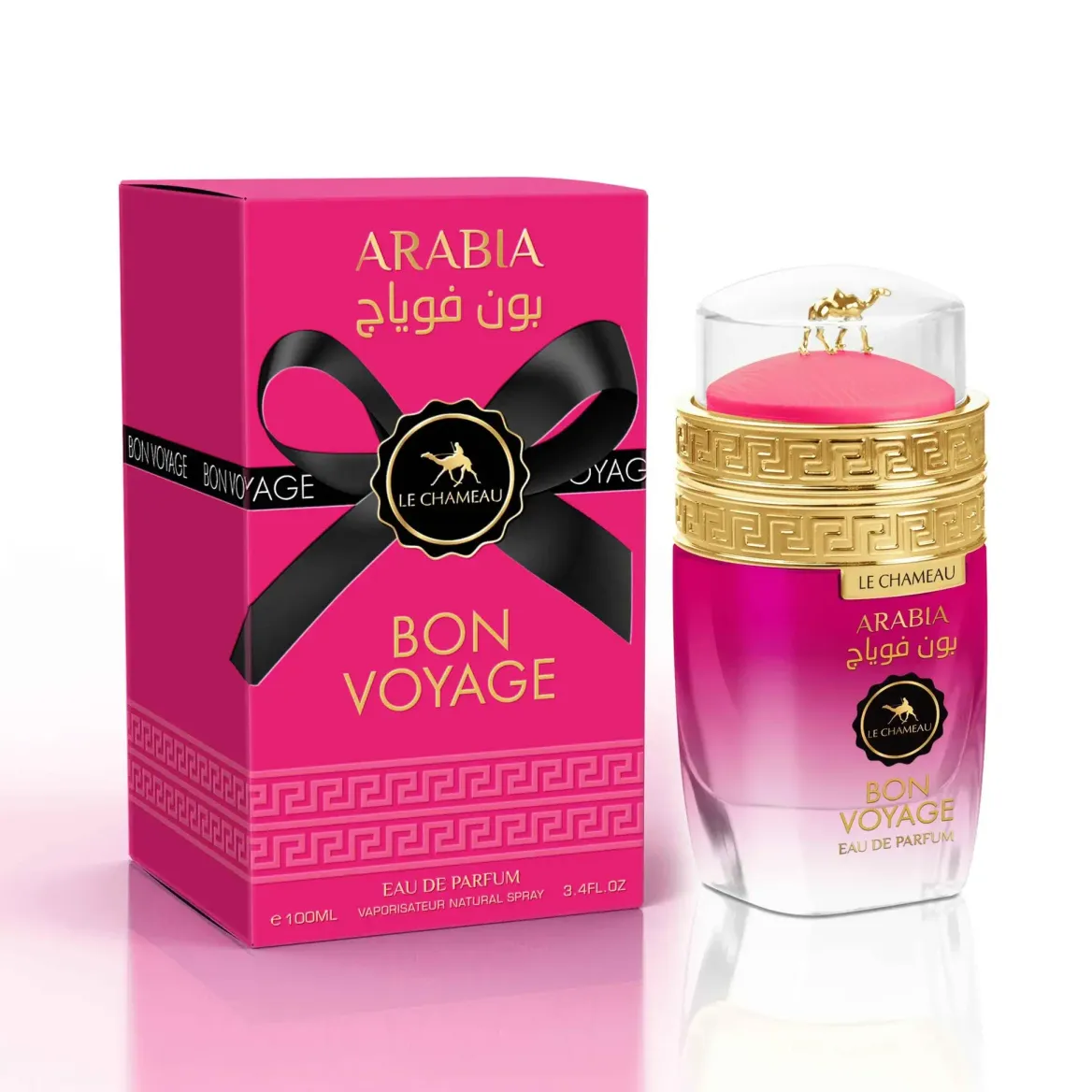 Le Chameau Arabia Bon Voyage