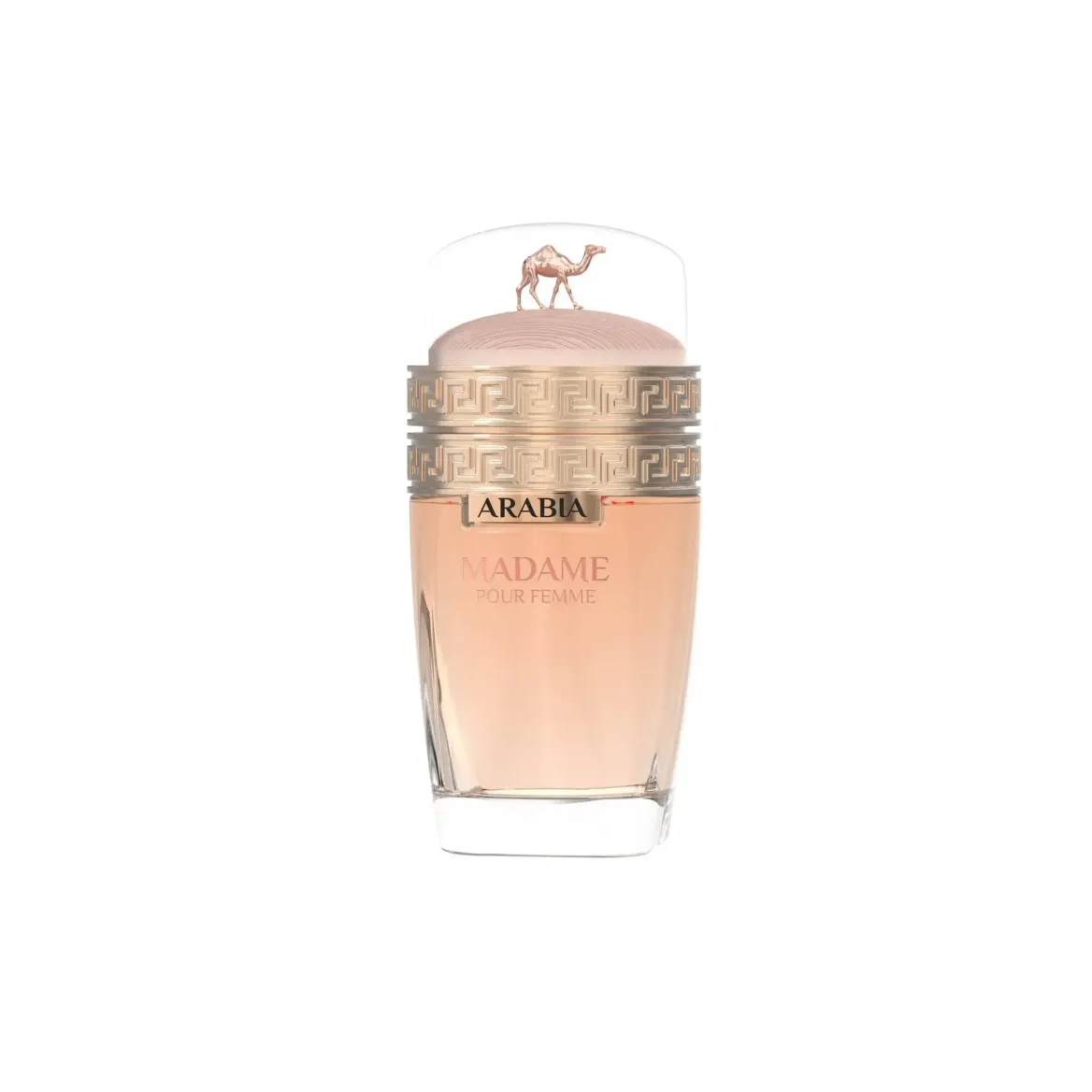 Le Chameau Arabia Madame