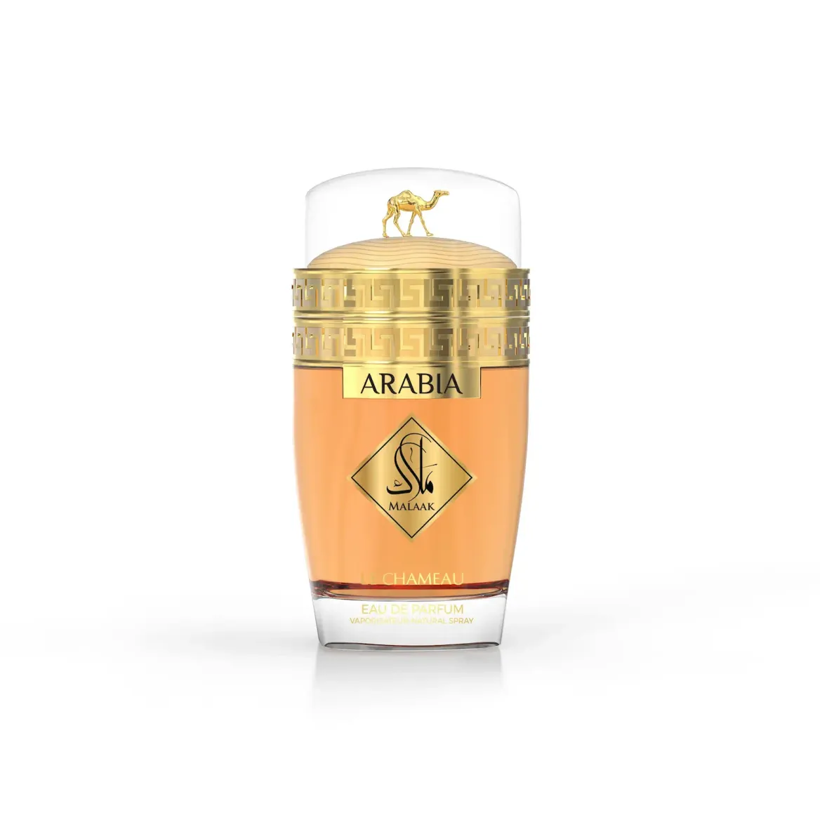 Le Chameau Arabia Malaak