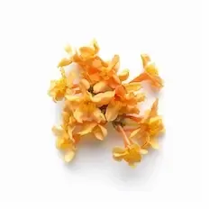 Osmanthus