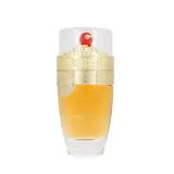 Paris Corner - Tiramisu Speculoos