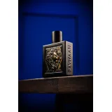 Rayhaan Lion Edp 100ml