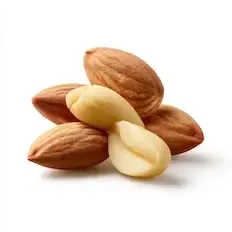 Sweet Almond