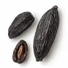 Tonka Bean