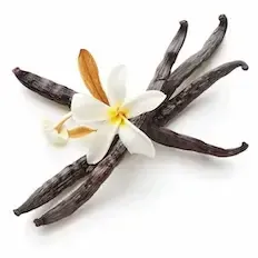 Vanilla