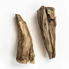 Oud