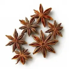 Anise
