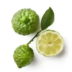 Bergamot