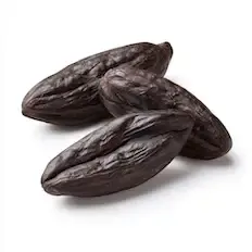 Kumarinas