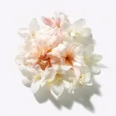 Цветы