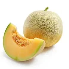 Melon