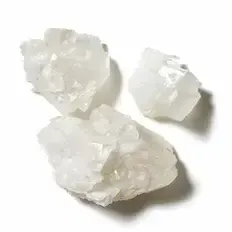 Piżmo
