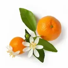Neroli