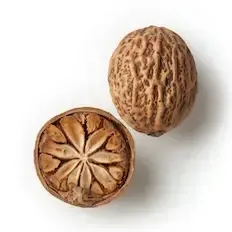 Muskaatpähkel