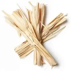 Papyrus