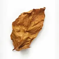 Tabakas