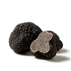 Truffle